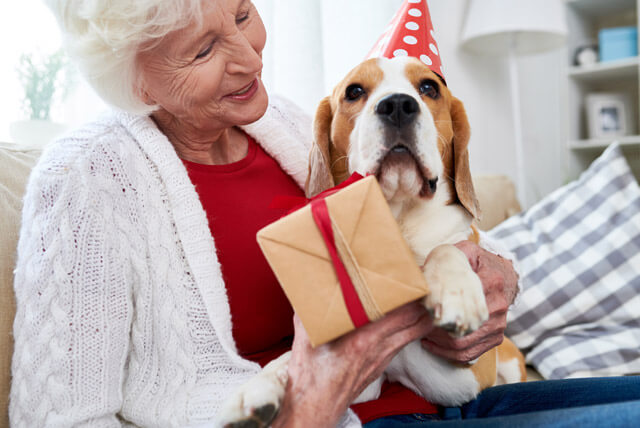 Dicas para fazer a festa de aniversário do seu pet