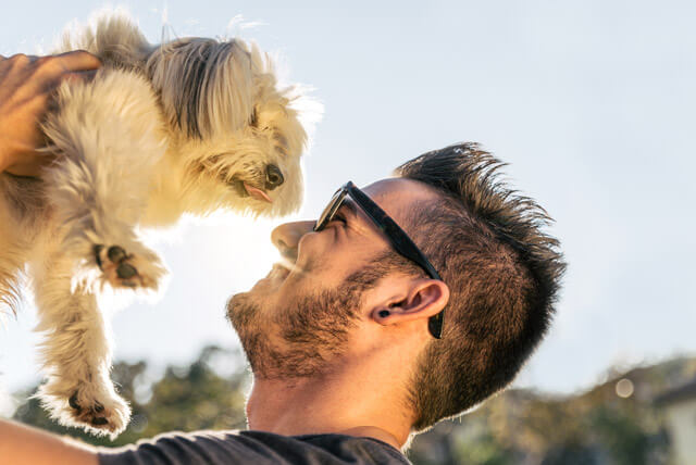 Benefícios dos pets para saúde dos tutores
