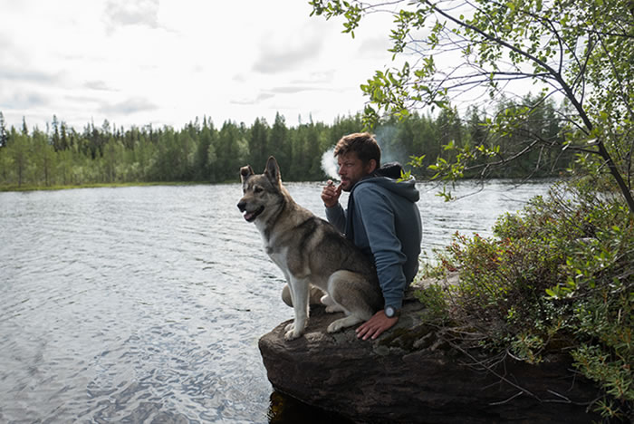 Cuidado tutor: cigarro não combina com os pets