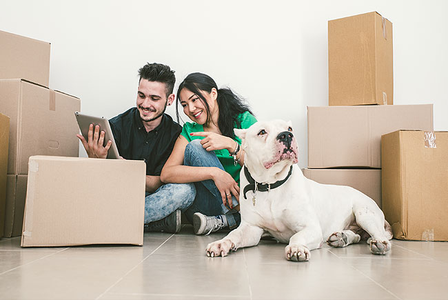 Como conviver bem com um pet em apartamento