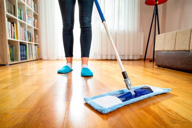 Como ter uma casa sem cheiro de cachorro