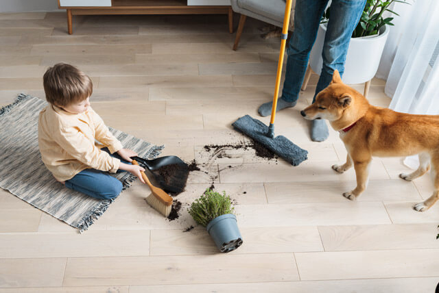 Dicas para manter a casa com pets sempre limpa