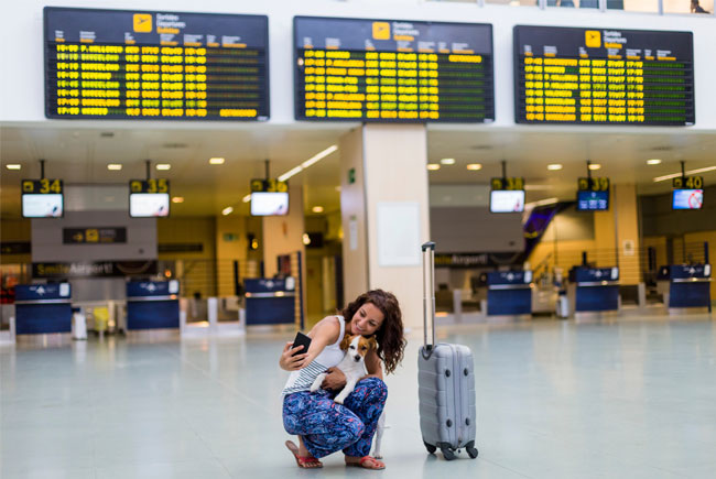 Cuidado na hora de fazer uma viagem internacional com seu pet