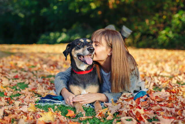 Cuidados com os pets no Outono