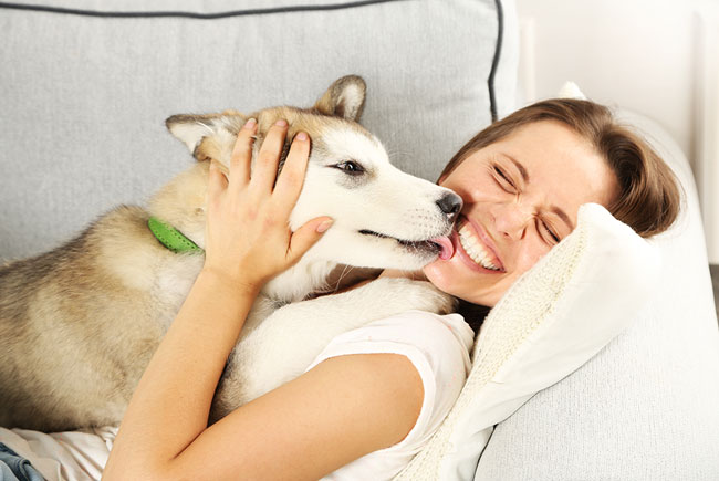 Benefícios de conviver com um pet