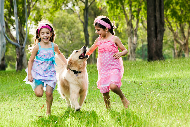 Dicas para cuidar bem do seu pet