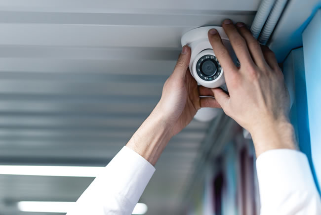 Dicas para monitorar seu pet em tempo real