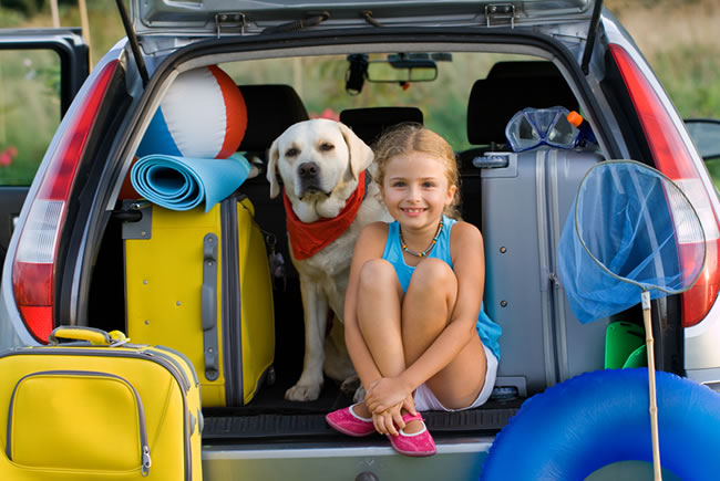 Férias sem riscos de pulgas e carrapatos