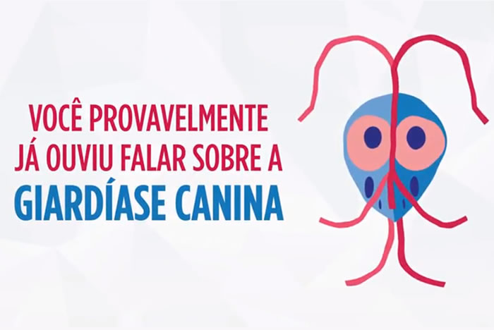 Saiba mais sobre a Giardíase Canina