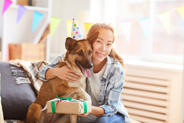 Idade do cão x a do homem: como entender tal curiosidade