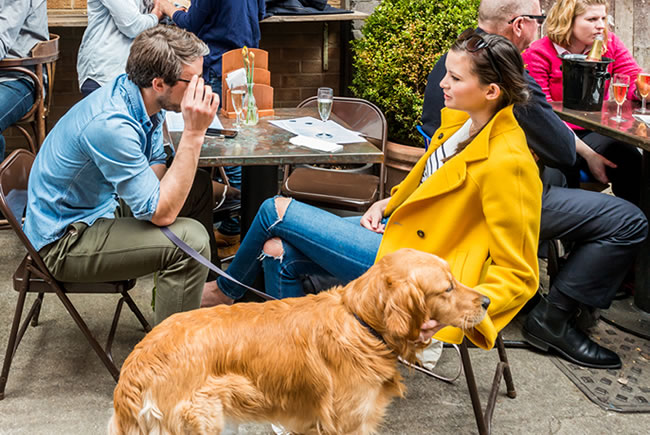 Incentivo para o conceito de