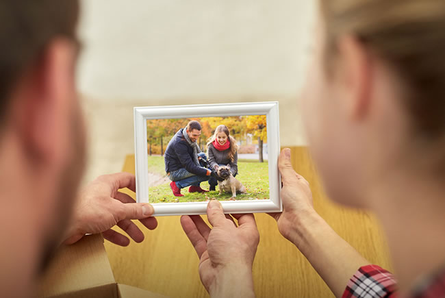 O que fazer na morte do pet?