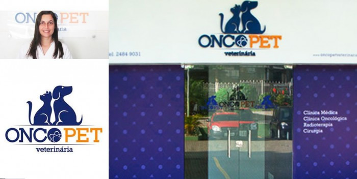 Diagnóstico precoce: arma para identificar câncer em cães e gatos