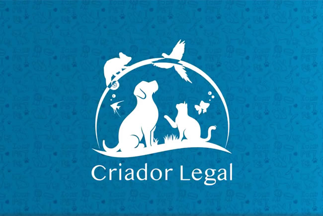 Os ganhos de cuidar bem dos pets