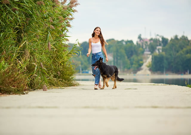 Passeio programado para os pets