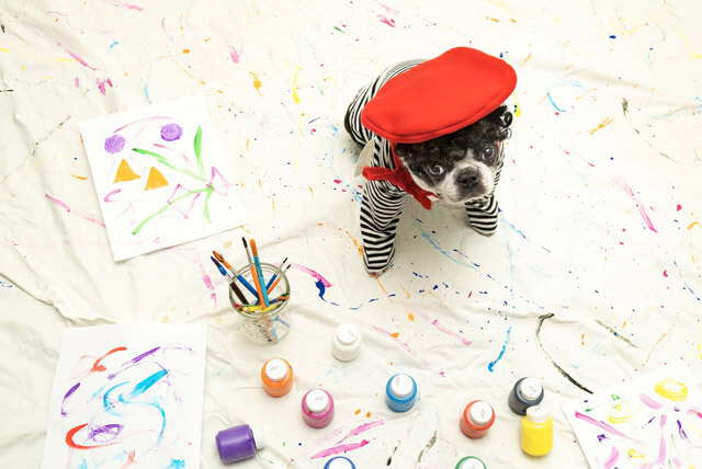 Veja seu pet como uma