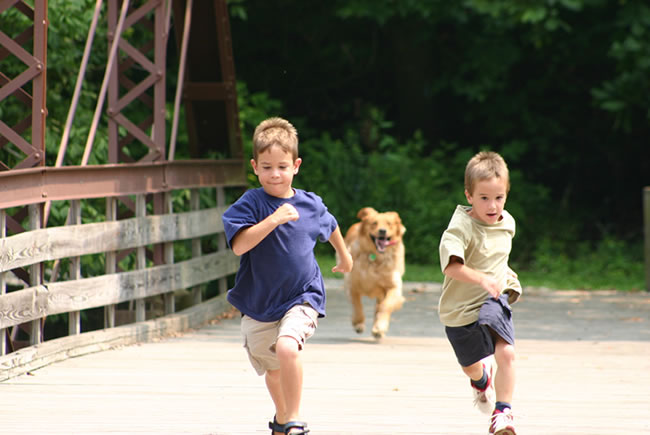 Pet como elo para novas amizades