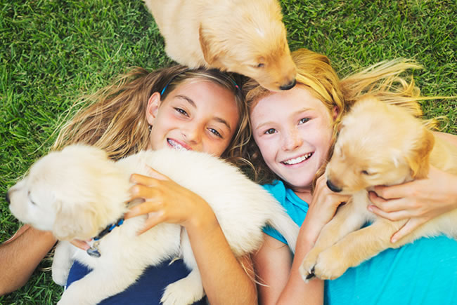 Pets, crianças e cuidados