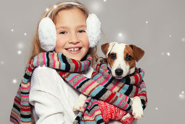 Cuidados com os pets no Inverno