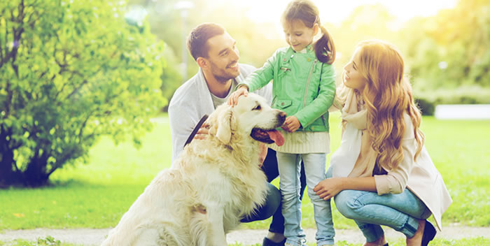 Pets, crianças e cuidados