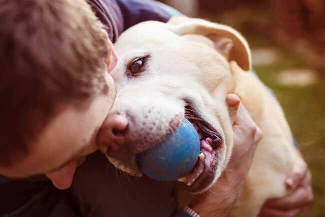 Provas de amor e carinho pelos pets