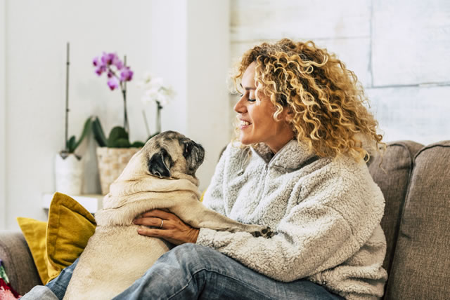 Regras básicas para ter um pet em casa