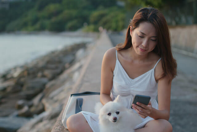 Diabete em pets: uma ajuda da tecnologia