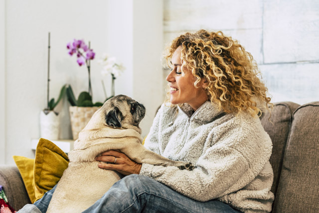 Pets deixam tutores mais felizes na pandemia
