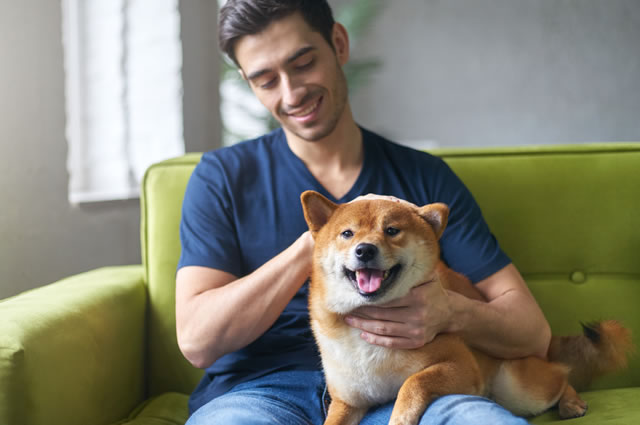 Benefícios da companhia dos pets