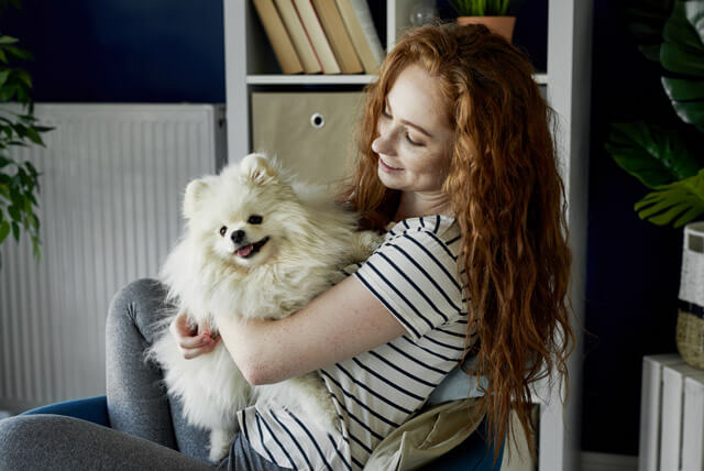 Tutores de pets de primeira viagem