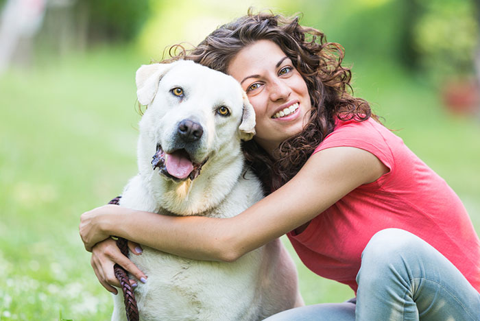 Tecnologia de reconhecimento facial contra cães desaparecidos
